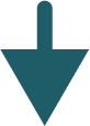 Decorative lines
