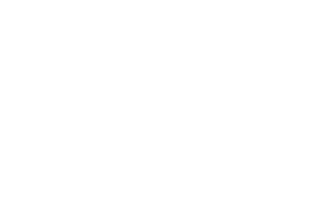 A white decorative arrow